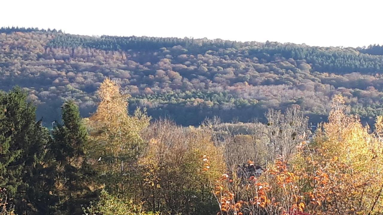 Le Coeur Sur La Main Otel Namur Dış mekan fotoğraf